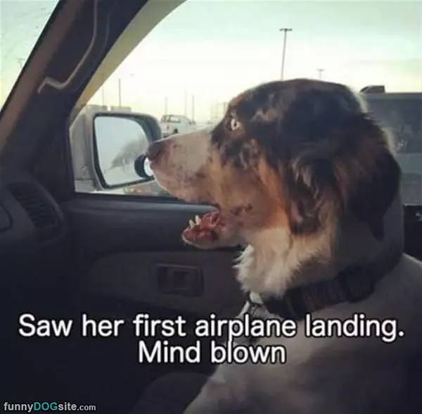 First Airplane Landing
