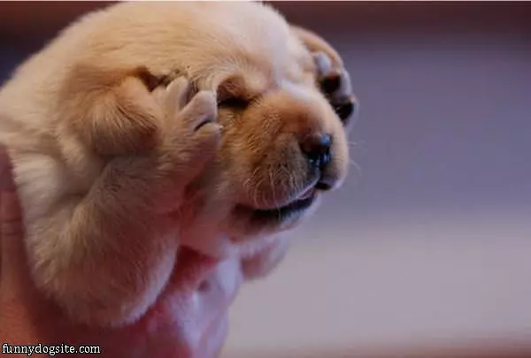 Please Stop Talking Now