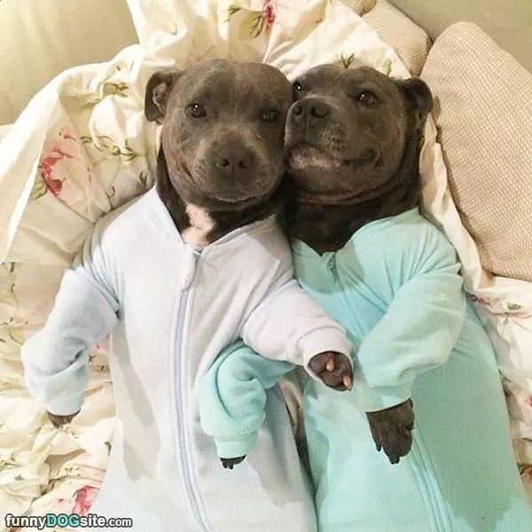 Ready For Bed