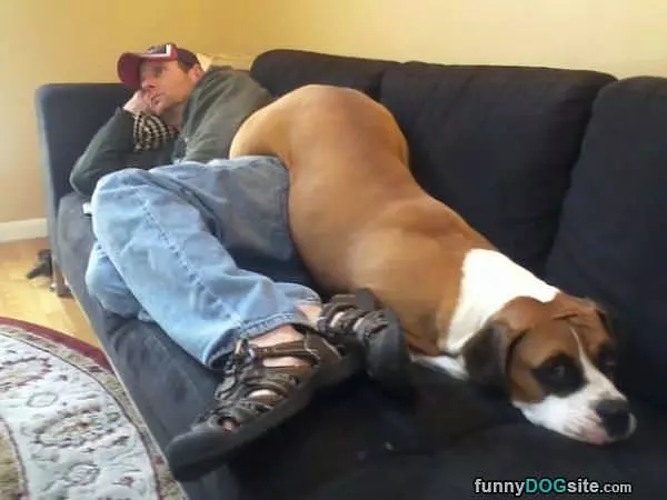 Chillin On The Couch