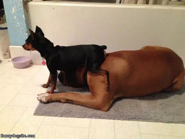 I Sits Here