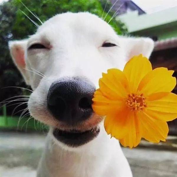 Happy You Are Here