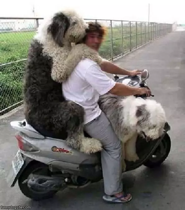 Bike Ride