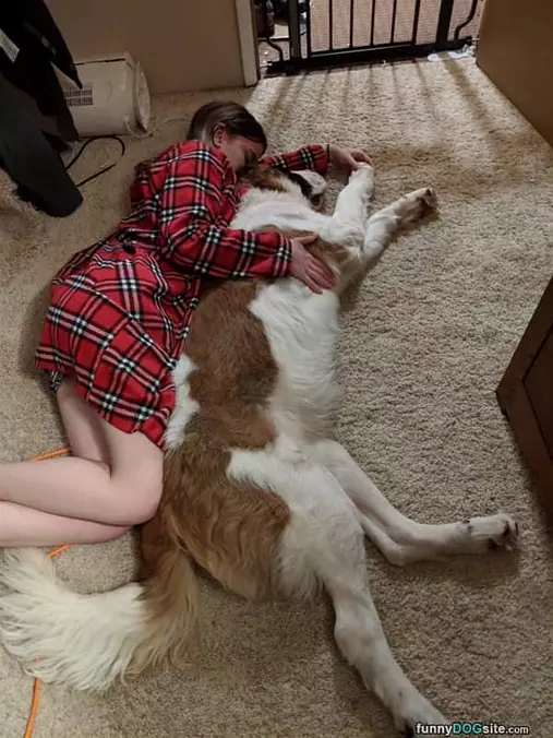 Cuddled Up Together