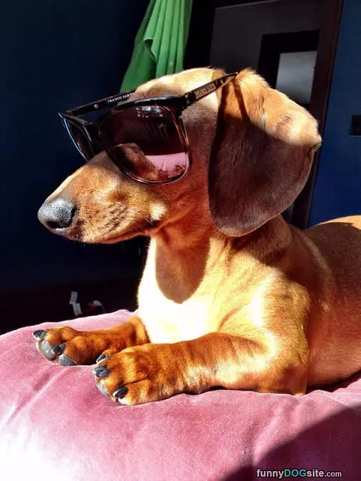 Bright Day