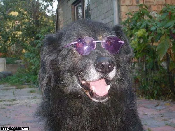 Cool Glasses