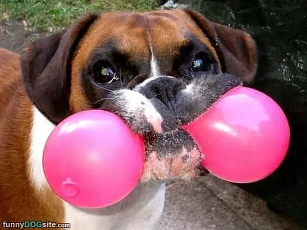 Balloonos