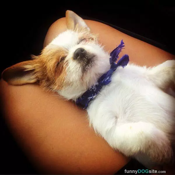Sleepy Sleepy Time