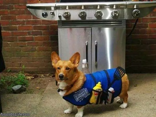 Ready To Assist