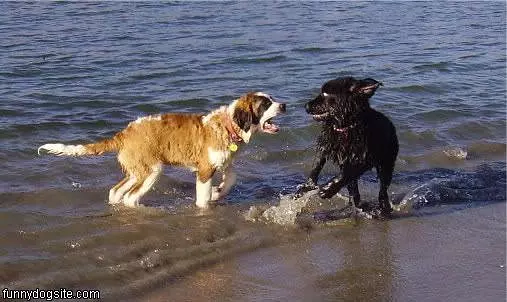 Kaia And Zoey