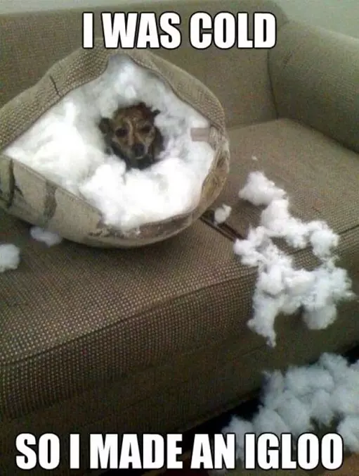 I Was Cold