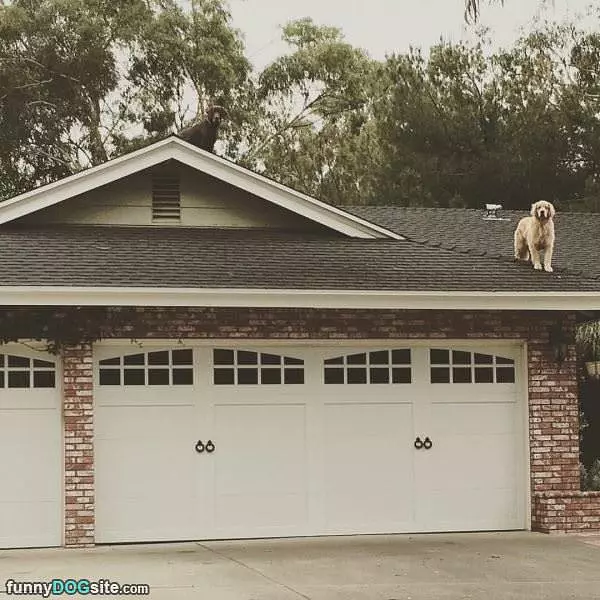 On The Roof