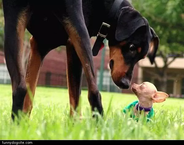 Little One