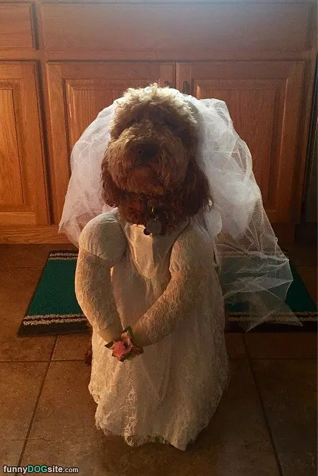 Getting Married