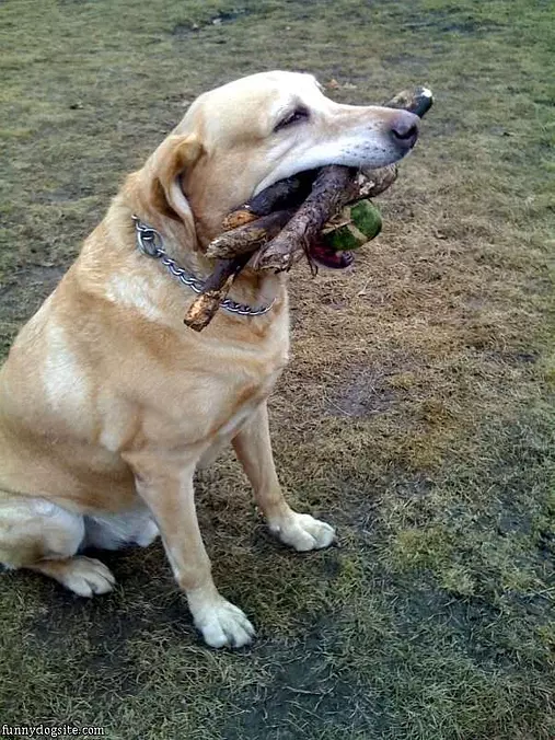 Huge Fetcher