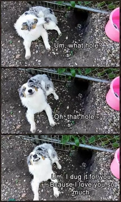Oh What Hole
