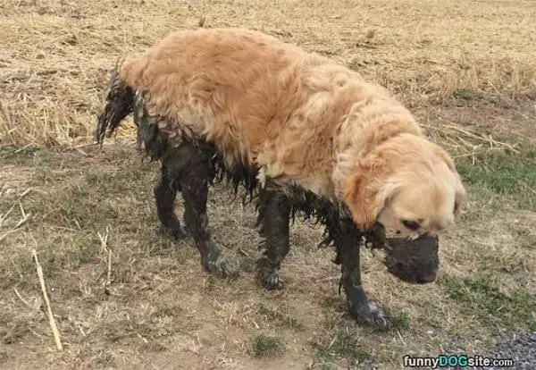 A Little Muddy