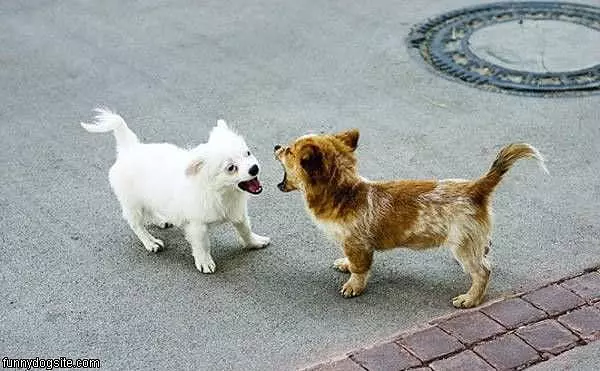 Mine