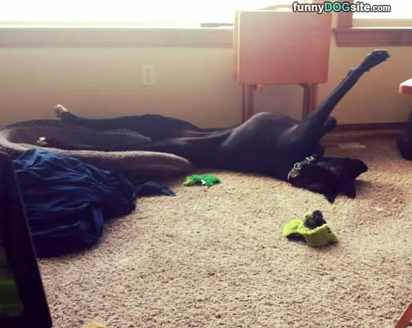Really Comfortable Here