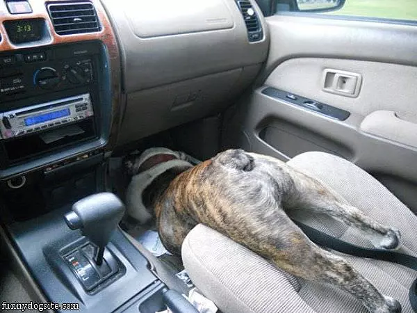 Car Rides