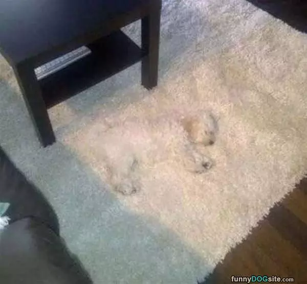 I Blend Right In Here