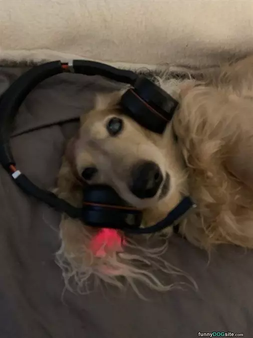 Headphones