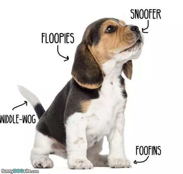 Woofer Diagram