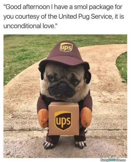 Smol Packages