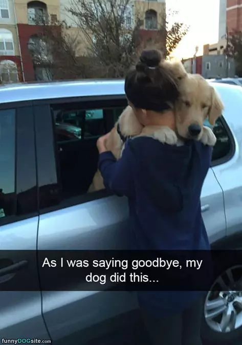 As I Was Saying Goodbye