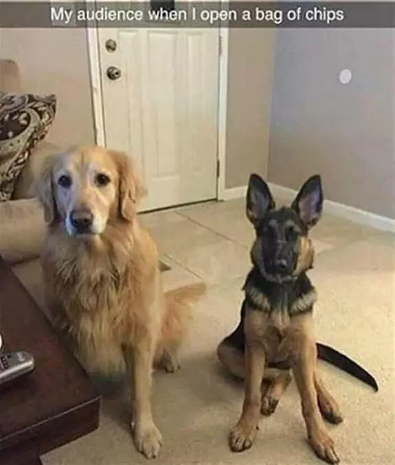 Is That A Bag Of Chips