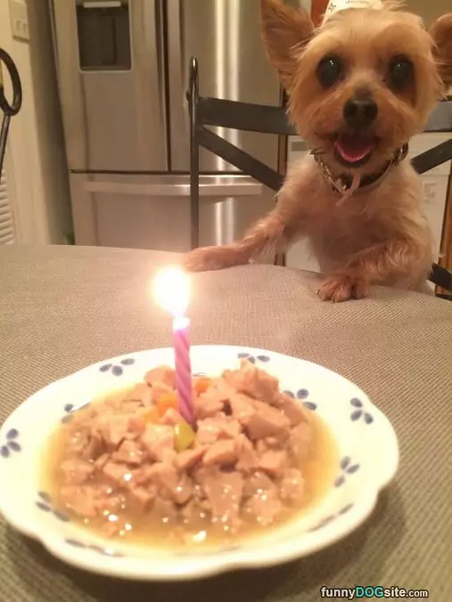 Its My Birthday Dinner