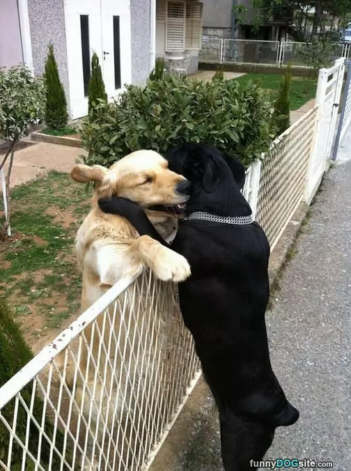 Hugging It Out