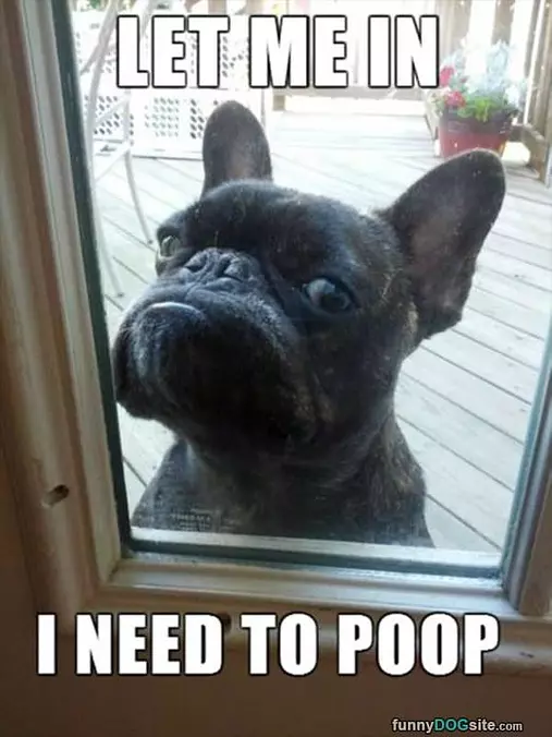 Let Me In
