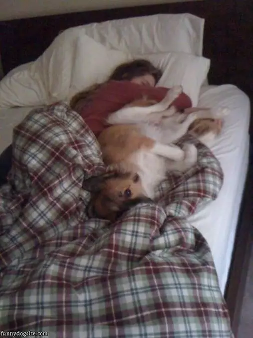 Taking A Nap