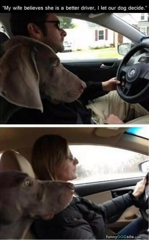 Better Driver