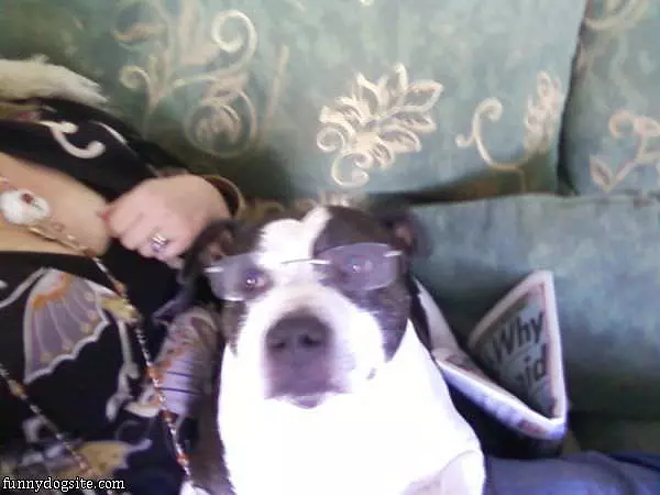 Cool Dude Shiloh