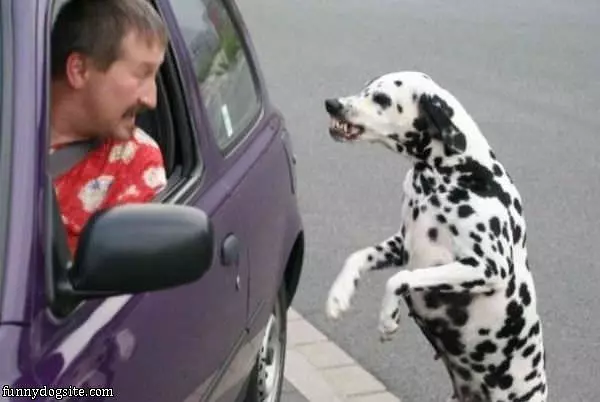 Back Off Man