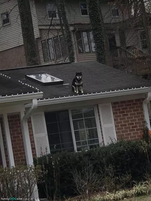 Protecting The Home