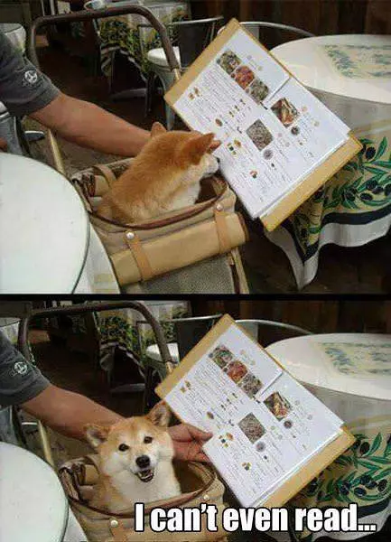I Cannot Read