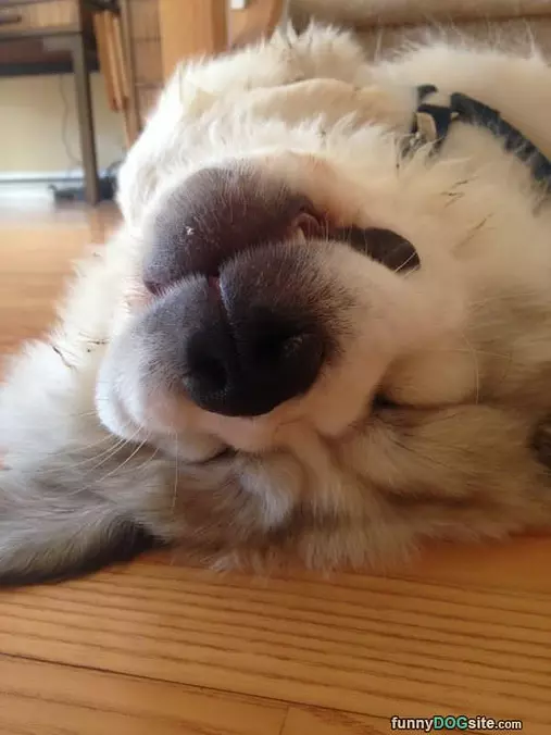Dis My Happy Face