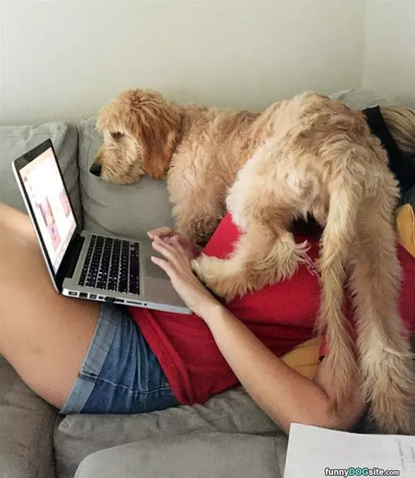 My Spot Now