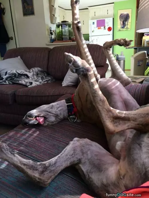 Hard To Be More Passed Out