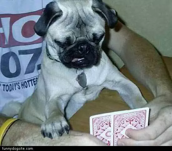 I Fold