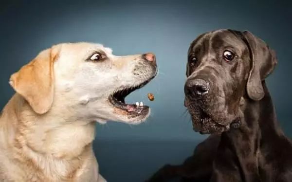 Nommm Nom Nom Nommm
