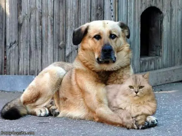 Good Friends