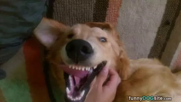 Sooooooo Funny
