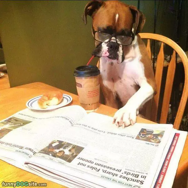Reading The Paper