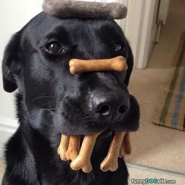 Good At Holding Things