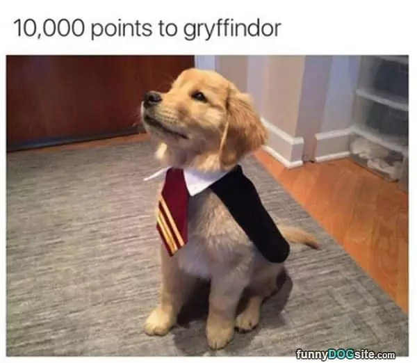 A Lot Of Points