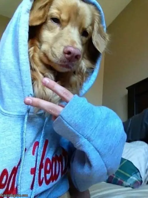 Whats Up